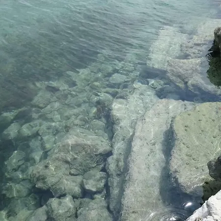 Flora Maris Appartamento Privlaka (Zadar)