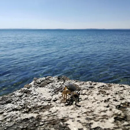 Daire Flora Maris Privlaka (Zadar)